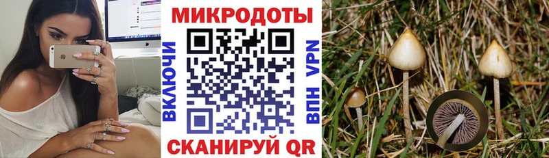 Псилоцибиновые грибы Psilocybe  мега зеркало  Лакинск 